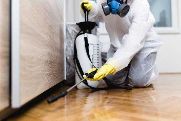 Best Local Pest Control Services  in Portage, MI
