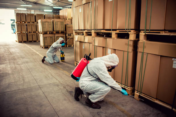 Best Wasp Removal Services  in Portage, MI