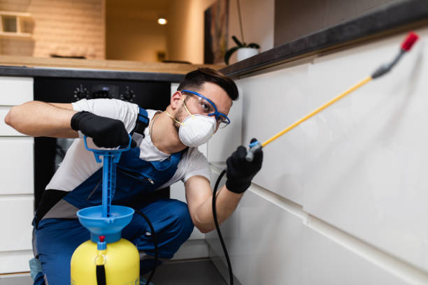 Best Emergency Pest Control  in Portage, MI