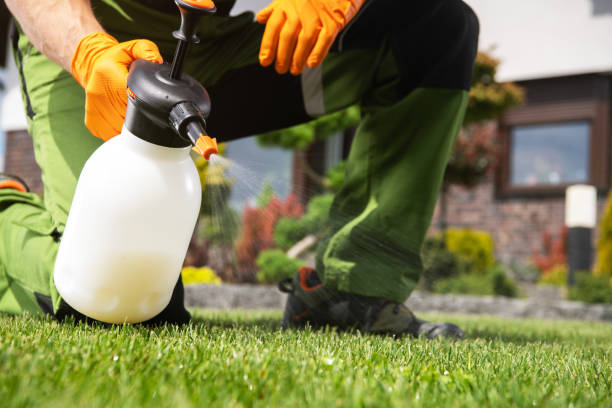 Best Rat Extermination Near Me  in Portage, MI