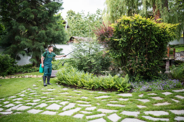 Best Insect Control  in Portage, MI