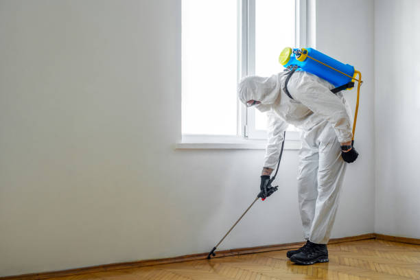 Best Pest Control for Businesses  in Portage, MI