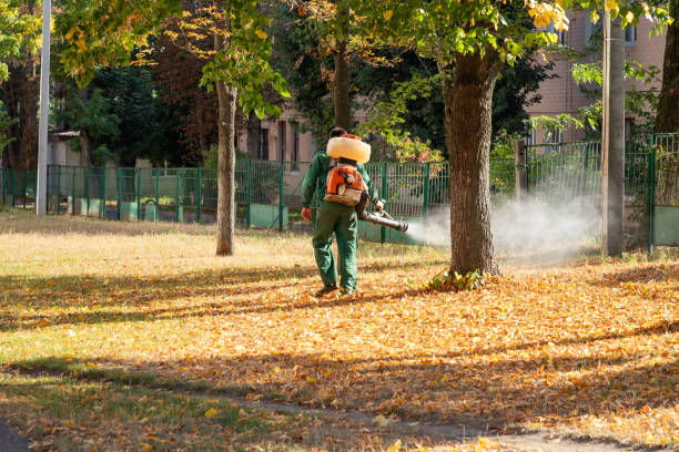 Best Cockroach Control Services  in Portage, MI