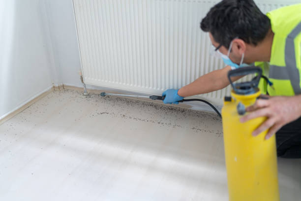 Best Pest Prevention Services  in Portage, MI