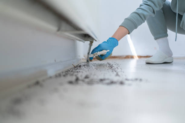 Trusted Portage, MI Pest Control Experts
