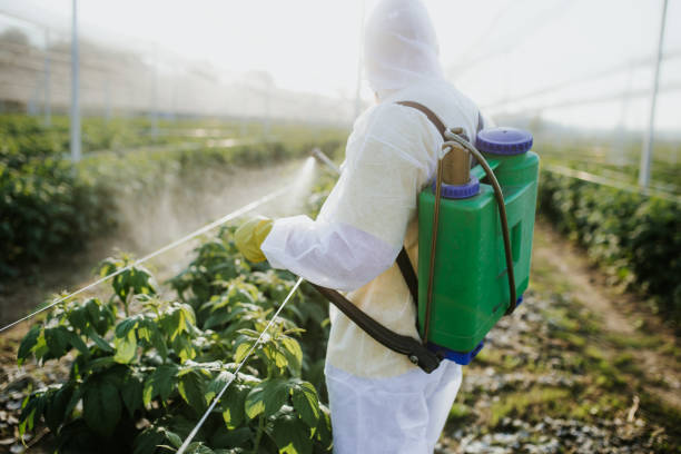 Best Bed Bug Extermination  in Portage, MI